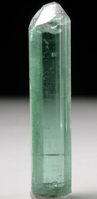 Elbaite Tourmaline from Havey Quarry, Spaniard's Pocket, Poland, Androscoggin County, Maine