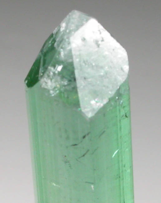 Elbaite Tourmaline from Havey Quarry, Spaniard's Pocket, Poland, Androscoggin County, Maine