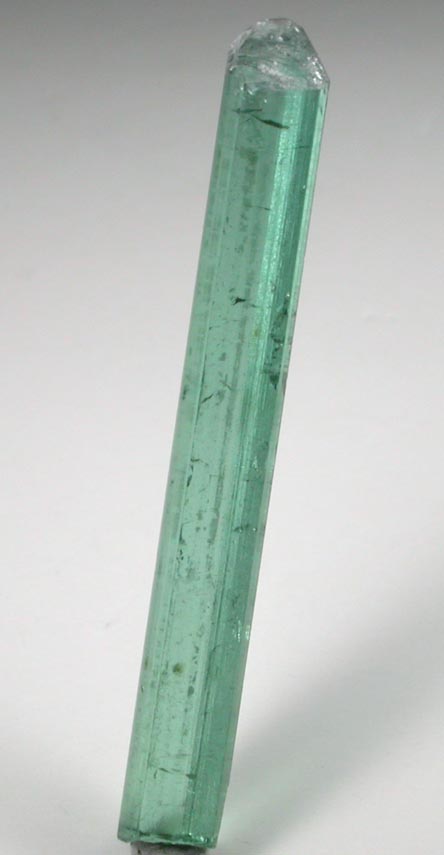 Elbaite Tourmaline from Havey Quarry, Spaniard's Pocket, Poland, Androscoggin County, Maine