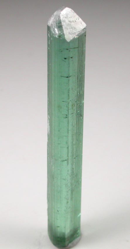 Elbaite Tourmaline from Havey Quarry, Spaniard's Pocket, Poland, Androscoggin County, Maine