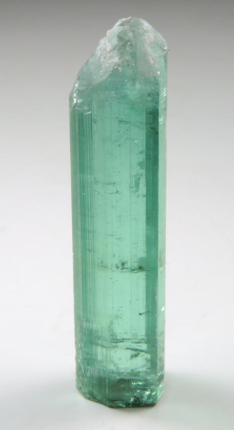 Elbaite Tourmaline from Havey Quarry, Spaniard's Pocket, Poland, Androscoggin County, Maine