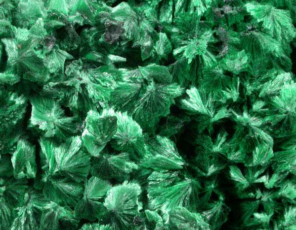 Malachite from Liufengshan Mine, Guichi, Anhui Province, China