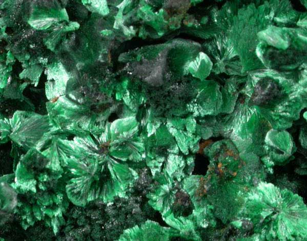 Malachite from Liufengshan Mine, Guichi, Anhui Province, China