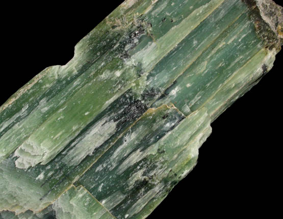 Antigorite var. Williamsite with Chromite from State Line Chromite Mining District, Lancaster County, Pennsylvania