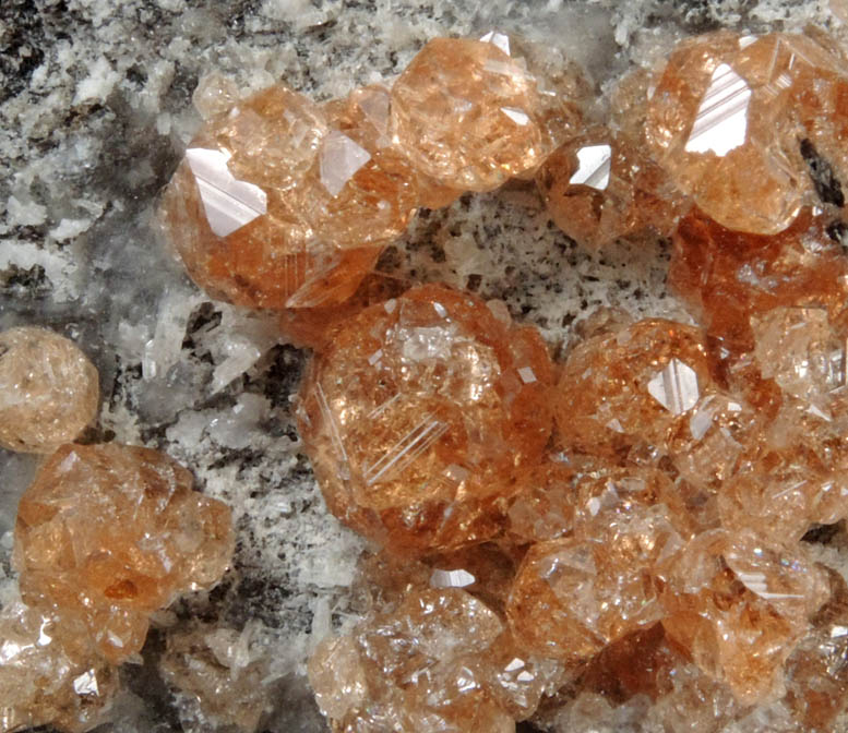 Grossular Garnet with Diopside from Jeffrey Mine, Asbestos, Qubec, Canada