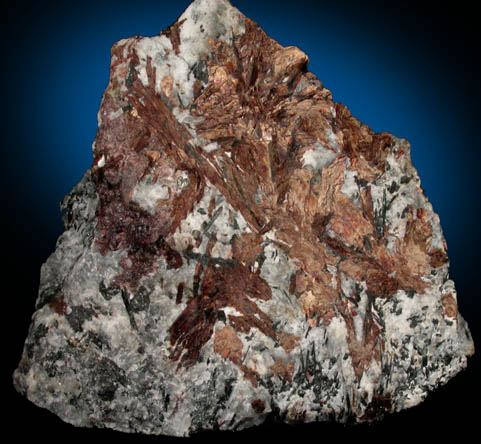Astrophyllite from Khibiny Massif, Kola Peninsula, Murmanskaja Oblast', Northern Region, Russia