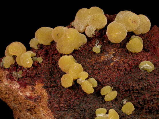 Mimetite from Congreso-Len Mine, San Pedro Corralitos, Chihuahua, Mexico