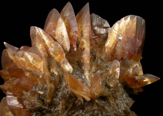 Gypsum from Red River Floodway, Winnipeg, Manitoba, Canada