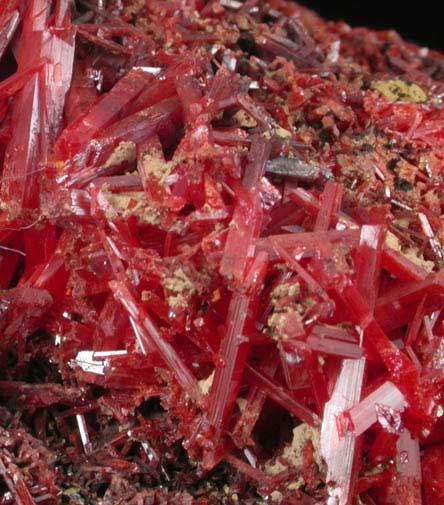 Crocoite from Adelaide Mine, Dundas, Tasmania, Australia