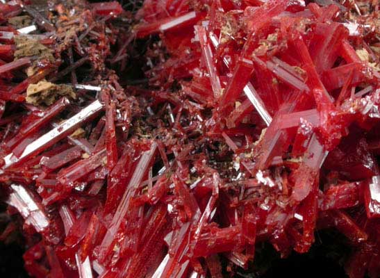 Crocoite from Adelaide Mine, Dundas, Tasmania, Australia