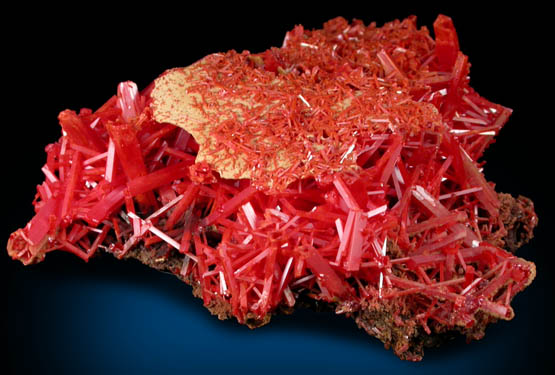 Crocoite from Adelaide Mine, Dundas, Tasmania, Australia