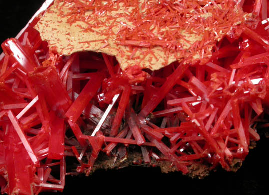 Crocoite from Adelaide Mine, Dundas, Tasmania, Australia