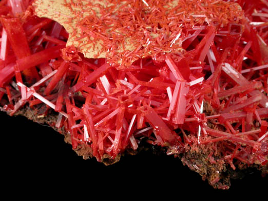 Crocoite from Adelaide Mine, Dundas, Tasmania, Australia