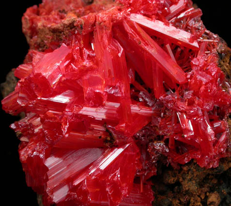 Crocoite from Red Lead Mine, Dundas, Tasmania, Australia