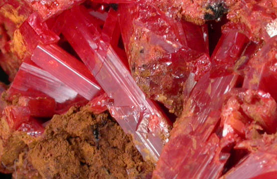 Crocoite from Adelaide Mine, Dundas, Tasmania, Australia