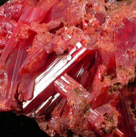 Crocoite from Adelaide Mine, Dundas, Tasmania, Australia