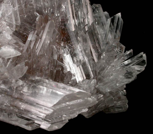 Gypsum var. Selenite from Santa Eulalia District, Aquiles Serdn, Chihuahua, Mexico