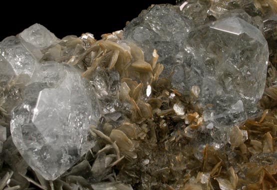 Beryl var. Aquamarine on Muscovite from Xuebaoding Mountain near Pingwu, Sichuan Province, China