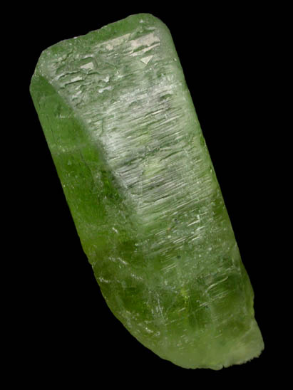 Forsterite var. Peridot (gem-grade crystal) from Suppat, Naran-Kagan Valley, Kohistan District, Khyber Pakhtunkhwa (North-West Frontier Province), Pakistan