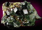 Andradite Garnet with Clinochlore and Diopside on Epidote from Marki Khel, Spin Ghar Mountains, southwest of Jalalabad, Nangarhar, Afghanistan