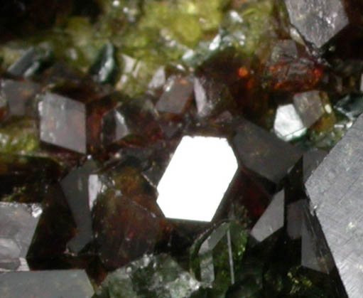 Andradite Garnet with Clinochlore and Diopside on Epidote from Marki Khel, Spin Ghar Mountains, southwest of Jalalabad, Nangarhar, Afghanistan