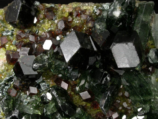 Andradite Garnet with Clinochlore and Diopside on Epidote from Marki Khel, Spin Ghar Mountains, southwest of Jalalabad, Nangarhar, Afghanistan