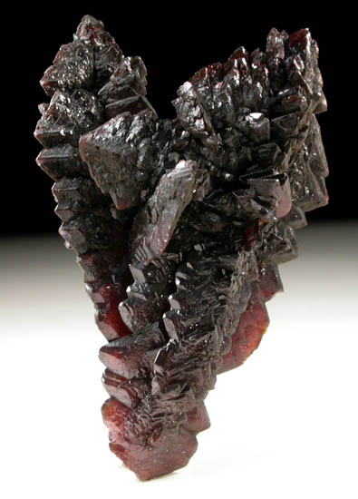 Descloizite from Berg Aukas Mine, 16 km ENE of Grootfontein, Otavi Mountain Land, Namibia