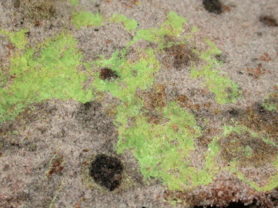 Andersonite from Atomic King Mine, San Juan County, Utah