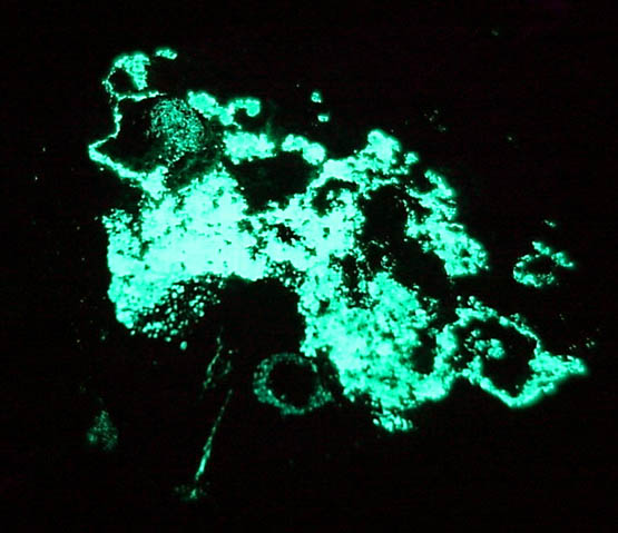 Andersonite from Atomic King Mine, San Juan County, Utah