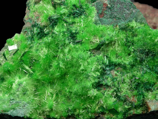 Cuprosklodowskite from Musonoi Mine, Kolwezi District, Katanga Copperbelt, Lualaba Province, Democratic Republic of the Congo