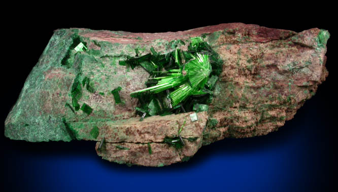 Cuprosklodowskite with Torbernite-Metatorbernite from Musonoi Mine, Kolwezi District, Katanga Copperbelt, Lualaba Province, Democratic Republic of the Congo