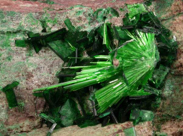 Cuprosklodowskite with Torbernite-Metatorbernite from Musonoi Mine, Kolwezi District, Katanga Copperbelt, Lualaba Province, Democratic Republic of the Congo