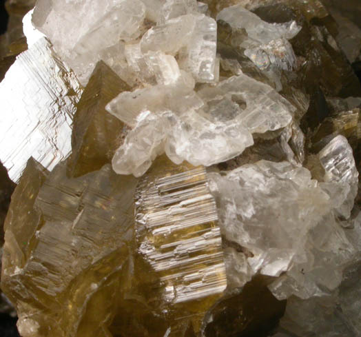 Siderite and Dolomite from Morro Velho Mine, Nova Lima, Minas Gerais, Brazil