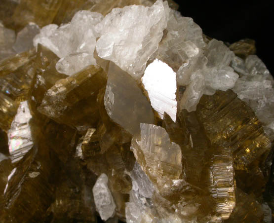 Siderite and Dolomite from Morro Velho Mine, Nova Lima, Minas Gerais, Brazil