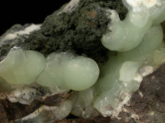 Prehnite and Babingtonite from Riker Hill, Livingston, Essex County, New Jersey