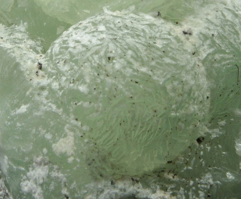 Prehnite with Laumontite from Upper New Street Quarry, Paterson, Passaic County, New Jersey