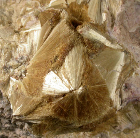 Carpholite from Horn Slavkov (Schlaggenwald), Karlovy Vary Region, Bohemia, Czech Republic (Type Locality for Carpholite)