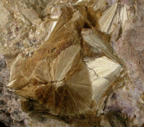 Carpholite from Horn Slavkov (Schlaggenwald), Karlovy Vary Region, Bohemia, Czech Republic (Type Locality for Carpholite)