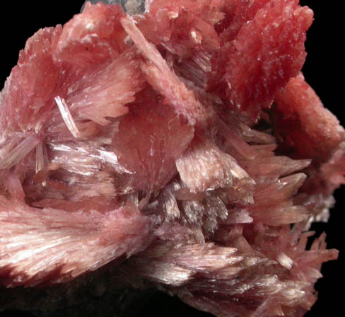 Inesite from Wessels Mine, Kalahari Manganese Field, Northern Cape Province, South Africa