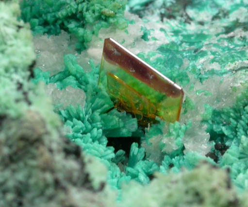 Wulfenite on Chrysocolla pseudomorphs after Hemimorphite from 79 Mine, Banner District, near Hayden, Gila County, Arizona