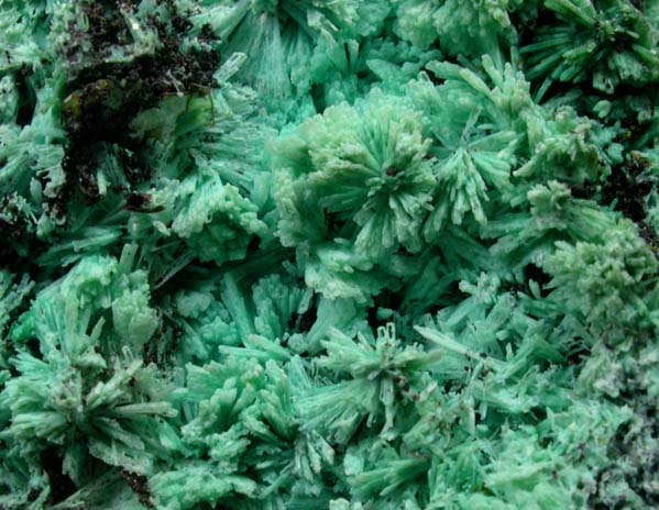 Wulfenite on Chrysocolla pseudomorphs after Hemimorphite from 79 Mine, Banner District, near Hayden, Gila County, Arizona