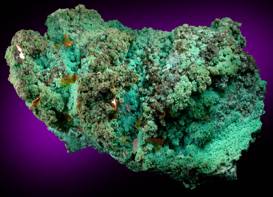 Wulfenite on Chrysocolla pseudomorphs after Hemimorphite from 79 Mine, Banner District, near Hayden, Gila County, Arizona