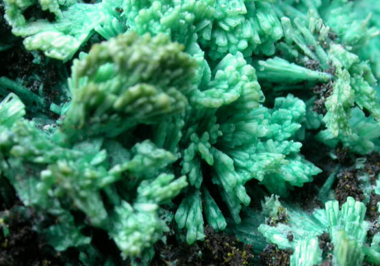 Wulfenite on Chrysocolla pseudomorphs after Hemimorphite from 79 Mine, Banner District, near Hayden, Gila County, Arizona