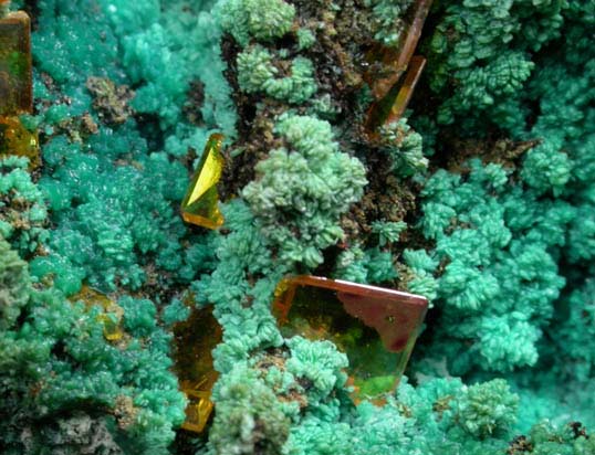 Wulfenite on Chrysocolla pseudomorphs after Hemimorphite from 79 Mine, Banner District, near Hayden, Gila County, Arizona