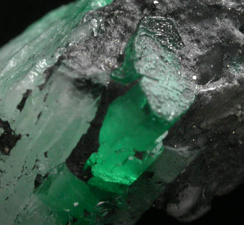 Beryl var. Emerald with Pyrite from Polveros Mine, Vasquez-Yacop District, Boyac Department, Colombia