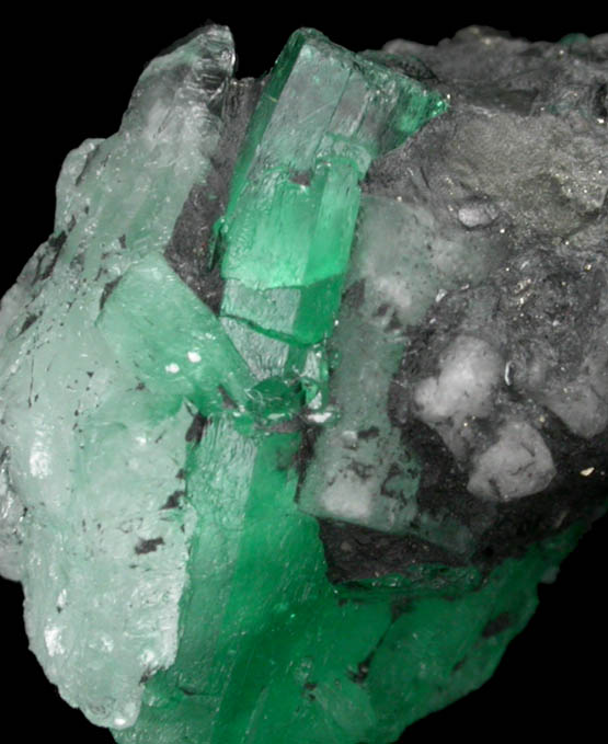 Beryl var. Emerald with Pyrite from Polveros Mine, Vasquez-Yacop District, Boyac Department, Colombia