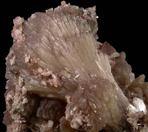 Stilbite from Prospect Park Quarry, Prospect Park, Passaic County, New Jersey