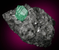 Beryl var. Emerald in Calcite from La Pita Mine, Vasquez-Yacopí District, Boyacá Department, Colombia