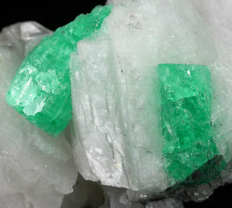 Beryl var. Emeralds in Calcite from La Pita Mine, Vasquez-Yacop District, Boyac Department, Colombia