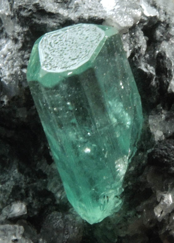 Beryl var. Emerald in Calcite from Polveros Mine, Vasquez-Yacop District, Boyac Department, Colombia